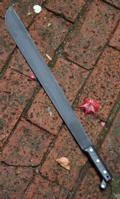 Ontario Machete 22