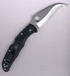 Spyderco Matriarch 2 C12SBK2