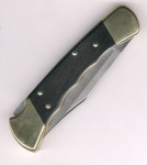 Buck 110 FG Folding Hunter Finger Grooved Klappmesser mit Etui, Ebenholz