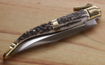 Muela Curro A Navaja Klappmesser Hirschhorngriff, Messing, helles Horn