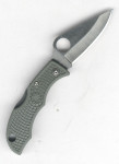 Spyderco Ladybug 3 LFGP3 Foliage green plain