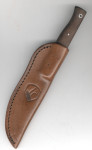 Condor Narrowsaur Knife CTK3971-4.22HC